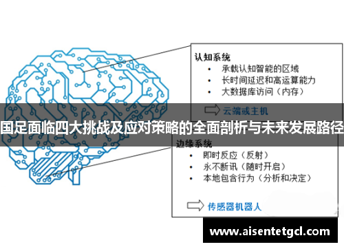 国足面临四大挑战及应对策略的全面剖析与未来发展路径