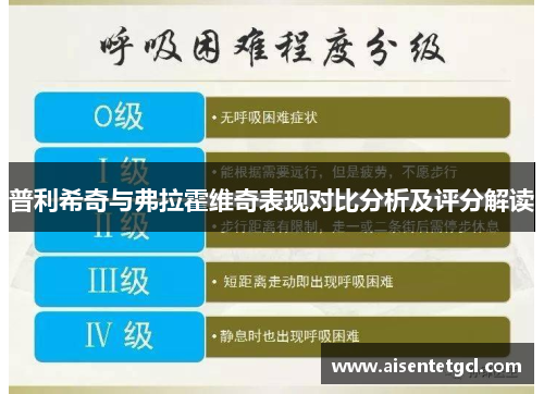普利希奇与弗拉霍维奇表现对比分析及评分解读