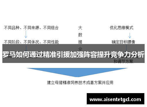罗马如何通过精准引援加强阵容提升竞争力分析