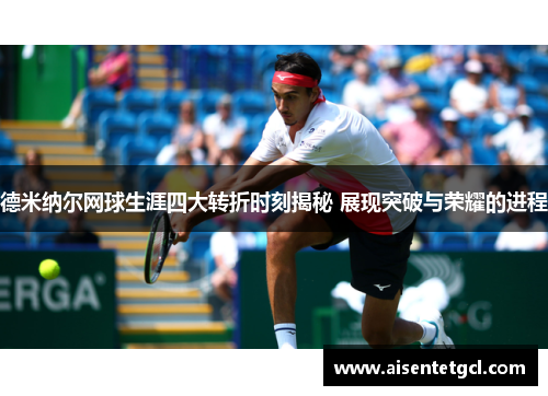 德米纳尔网球生涯四大转折时刻揭秘 展现突破与荣耀的进程